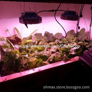 Round LED Grow Lights 90W with Plant Factory Research Planting Solution for Indoor Plants/hydroponic